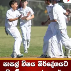 පාසල් විෂය නිර්දේශයට ක්‍රිකට් ඇතුළත් කෙරේ