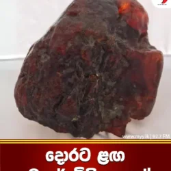 දොරට ළඟ ඩොලර් මිලියනයක්!