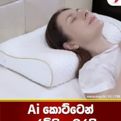 AI කොට්ටෙන් ගෙරවිලි ඉවරයි