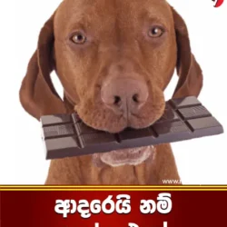 ආදරෙයි නම් දෙන්න එපා
