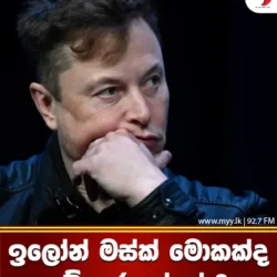 ඉලෝන් මස්ක් මොකක්ද මේ කරගත්තේ