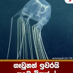 ගෑවුනත් ඉවරයි පුදුම විසක්