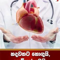 හදවතට හොඳයි, දහඩියත් දමයි