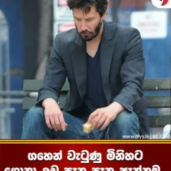 ගහෙන් වැටුණු මිනිහට ගොනා උඩ පැන පැන ඇන්නම