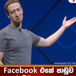 $ මිලියන 100 ක පාඩුවක්