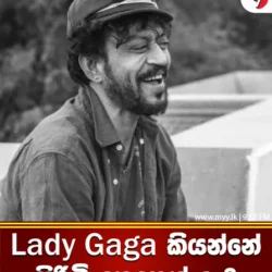 නැතිවුණ ticket එකට ජීවිතේ ticket එක