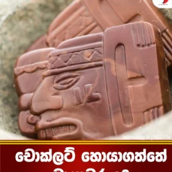 චොක්ලට් හොයාගත්තේ මායාවරුද?