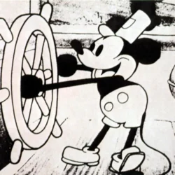 Mickey Mouse ජනතා අයිතියට
