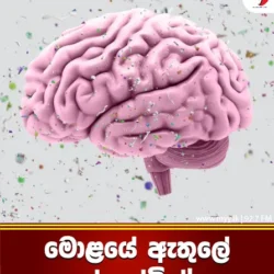 මොළයේ ඇතුලේ ප්ලාස්ටික්