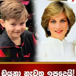 ඩයනා නැවත ඉපදෙයි