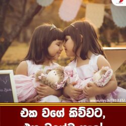 එක වගේ කිව්වට, එක වගේම නෑලු