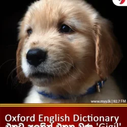 Oxford English Dictionary එකට අලුතින් එකතු වුණු Gigil