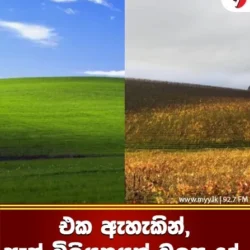 එක ඇහැකින්, ඇස් බිලියනයක් බලපු දේ.. 😲