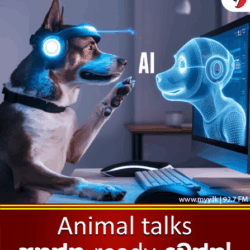 Animal Talks අහන්න Ready වෙන්න