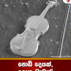 පොඩි දෙයක්,ලොකු වැඩක් 😌
