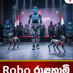 Robo රාළහාමි