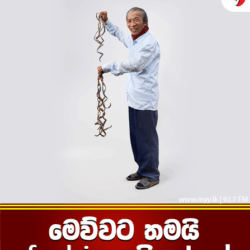 මෙව්වට තමයි Fashion කියන්නෙ!😄